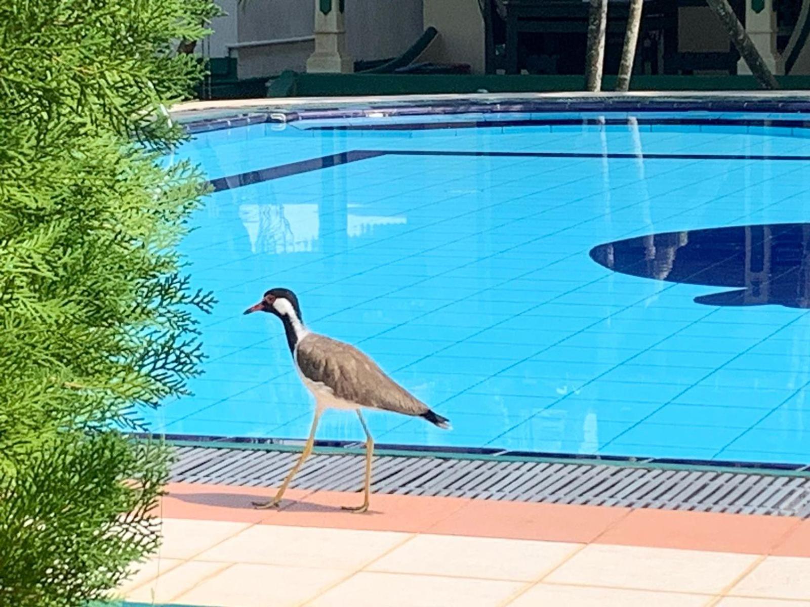 Sagarika Beach Hotel Moragalla Kültér fotó